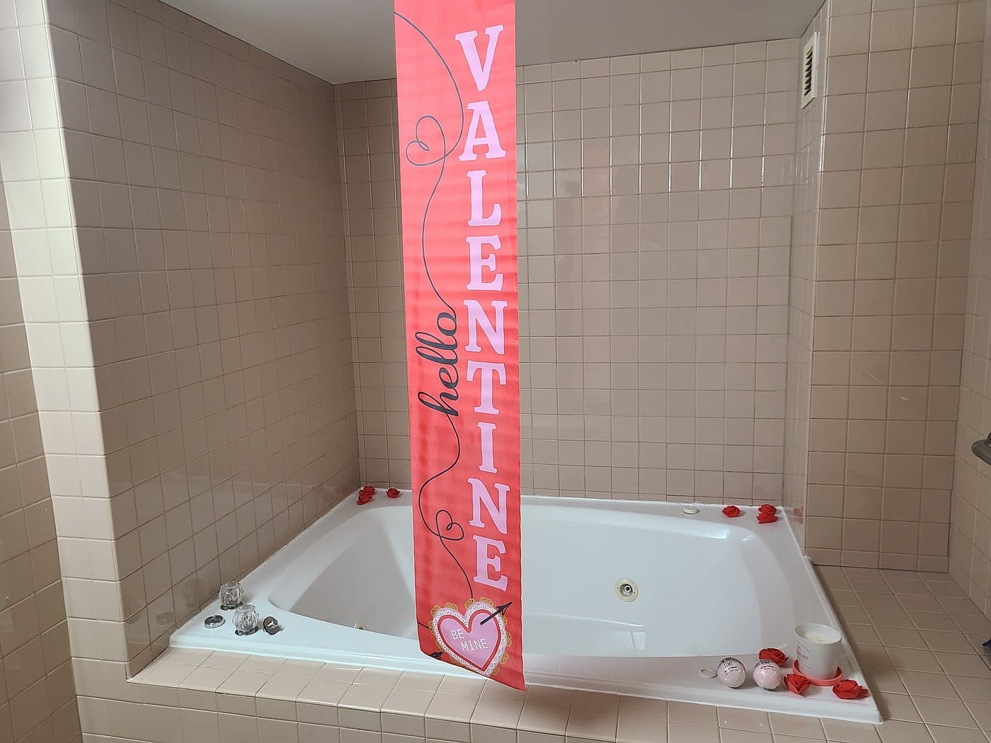Hamilton Inn Bessemer Jacuzzi room