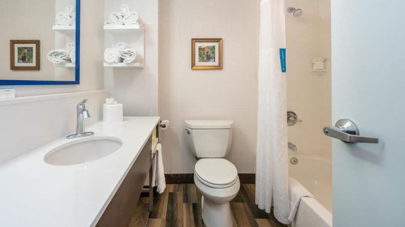 Hampton Inn & Suites Flagstaff hotel photo 4