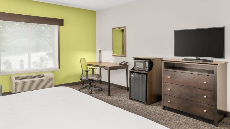 Holiday Inn Express & Suites Wilmington-Newark hotel photo 4