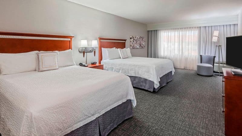 Courtyard by Marriott Fort Myers at I-75 & Gulf Coast Town Center hotel photo 3