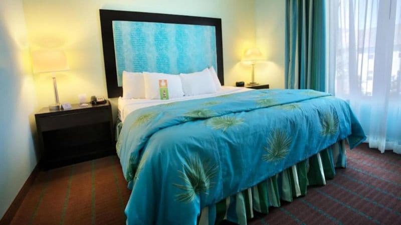 Holiday Inn & Suites Ocala Conference Center, an IHG Hotel hotel photo 2