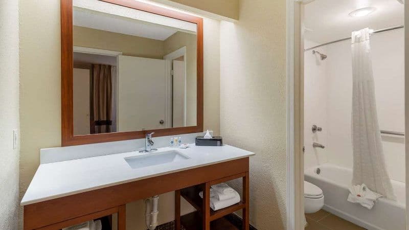 Comfort Inn & Suites – Near Robins Air Force Base hotel photo 3