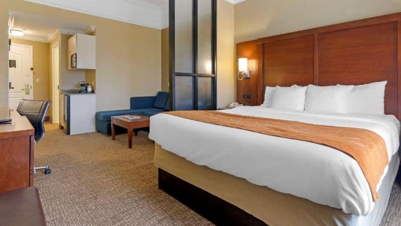 Comfort Suites Savannah North hotel photo 2