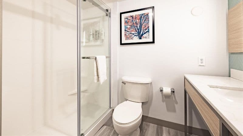 Hilton Garden Inn Albany hotel photo 3