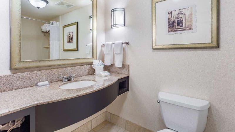 Hilton Garden Inn Gainesville hotel photo 3