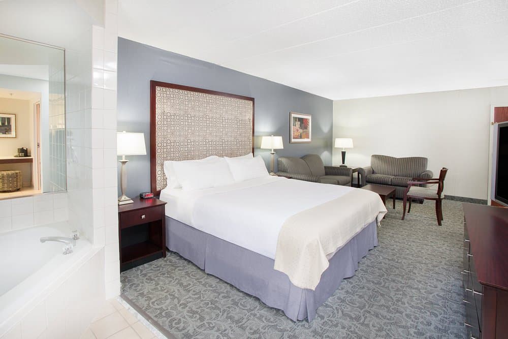 Holiday Inn & Suites Chicago-carol Stream (wheaton) By IHG Jacuzzi room