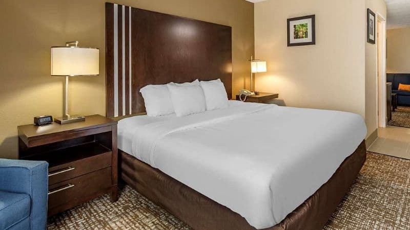 Comfort Inn Paducah I-24 hotel photo 2
