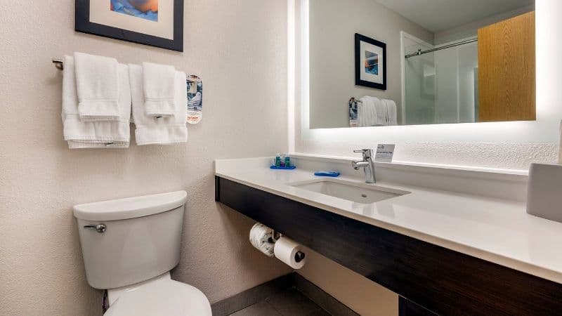 Holiday Inn Express Metropolis hotel photo 4