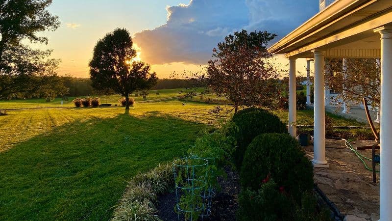 Wildflower Ranch Inn hotel photo 5