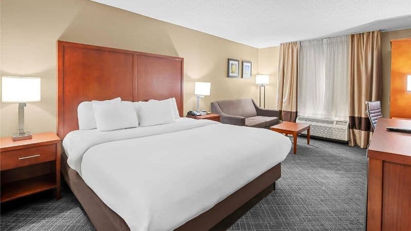 Comfort Inn University Area hotel photo 3