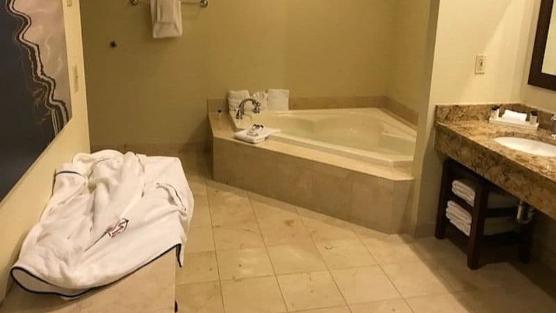 Annapolis Waterfront Hotel Jacuzzi room