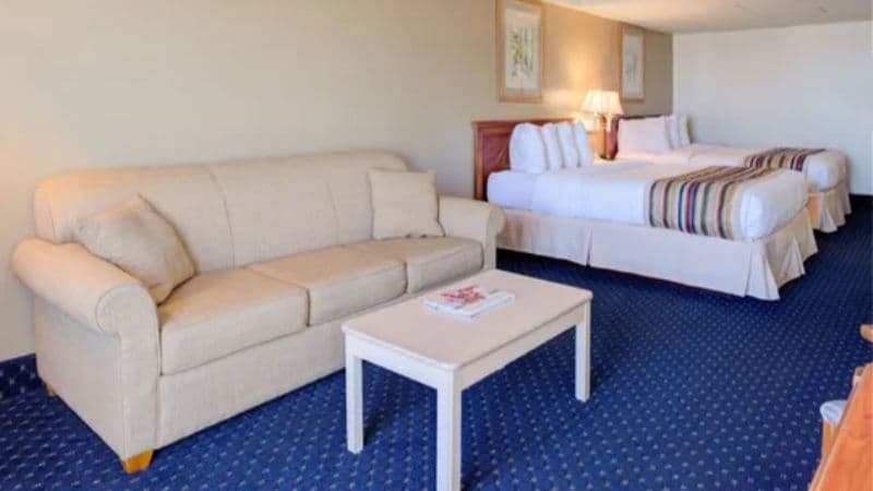 Paradise Plaza Inn hotel photo 3
