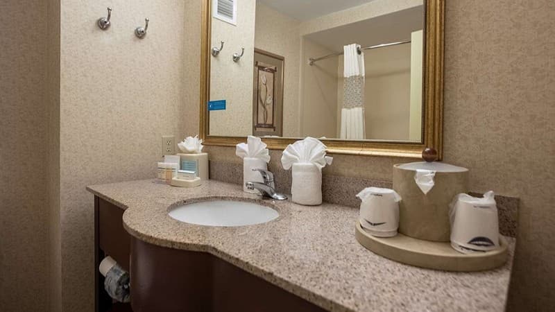 Hampton Inn Hadley-Amherst Area hotel photo 3