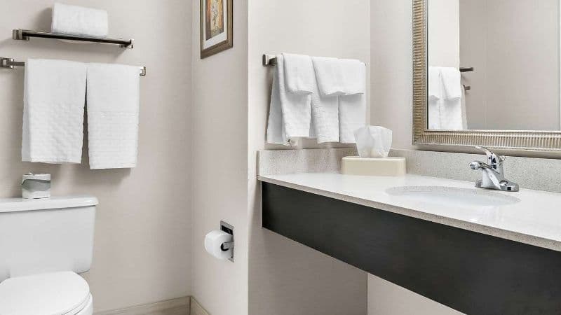 Best Western Okemos/East Lansing Hotel & Suites hotel photo 3