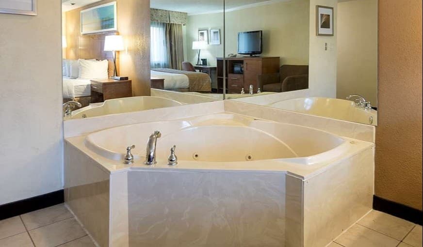 Clarion Hotel Detroit Metro Airport hotel photo 2