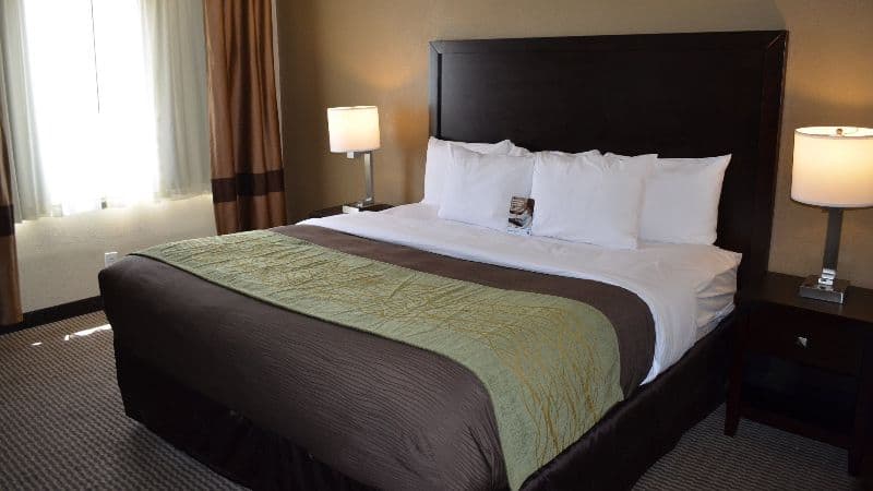 Comfort Inn Downtown Detroit hotel photo 2