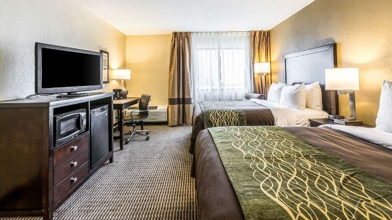 Comfort Inn Downtown Detroit hotel photo 3