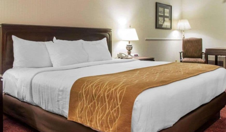 Comfort Inn Lakeside hotel photo 2