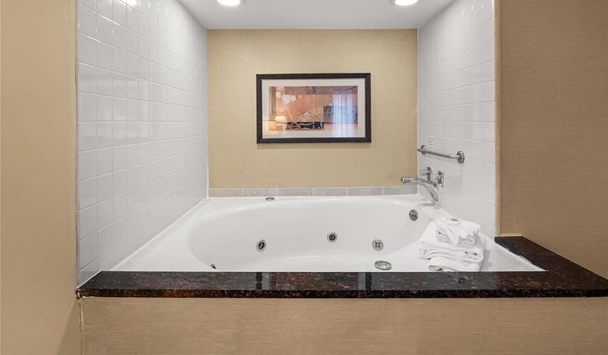 Comfort Inn Metro Airport hotel photo 2