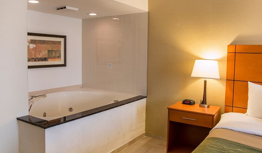 Comfort Inn Metro Airport hotel photo 4