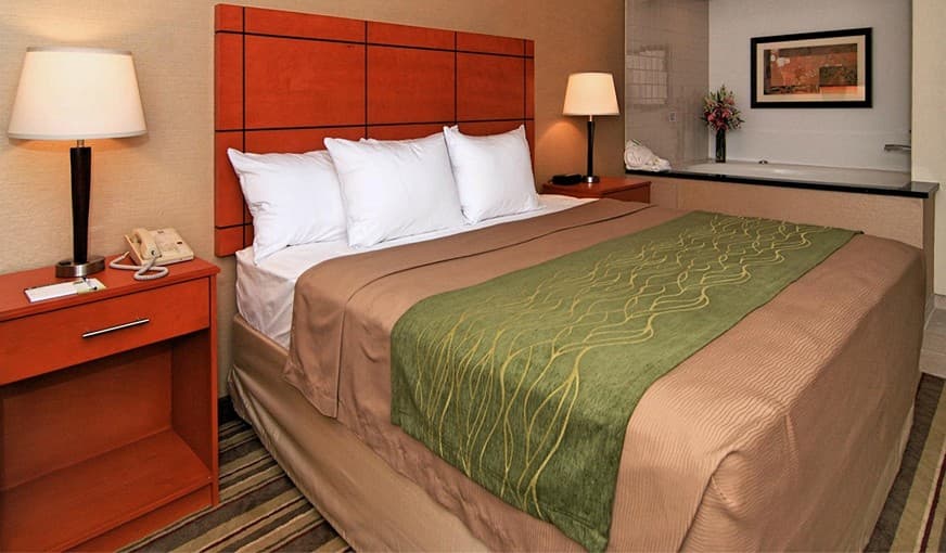 Comfort Inn Metro Airport hotel photo 5