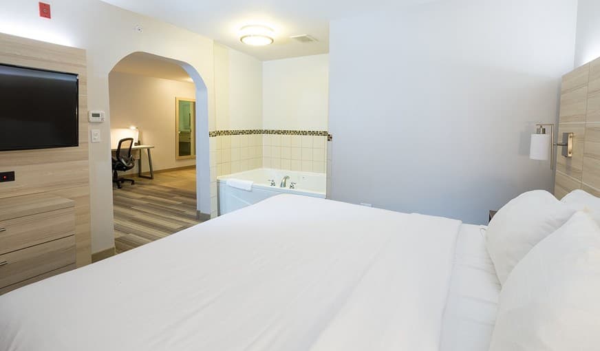 Holiday Inn Express Hotel & Suites Detroit – Utica hotel photo 2