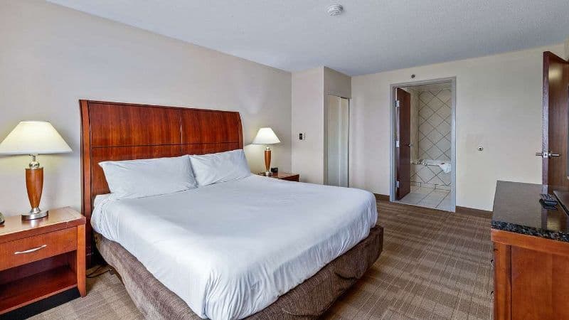 Hilton Garden Inn Starkville hotel photo 3