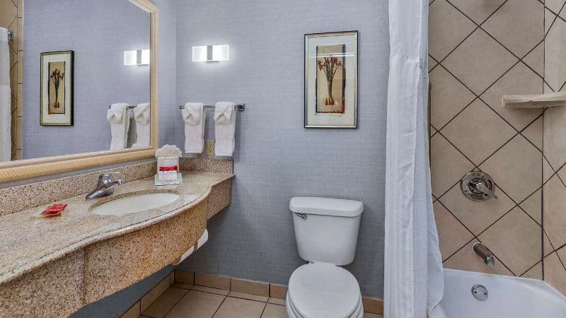 Hilton Garden Inn Starkville hotel photo 4