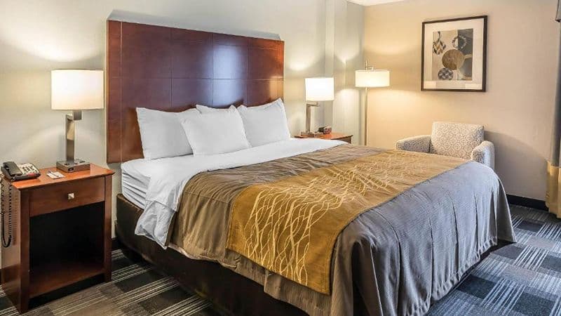Comfort Inn SW Omaha I-80 hotel photo 2