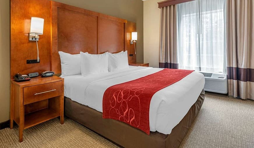 Comfort Suites Newark – Harrison hotel photo 3