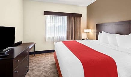 Best Western Palmyra Inn & Suites hotel photo 3