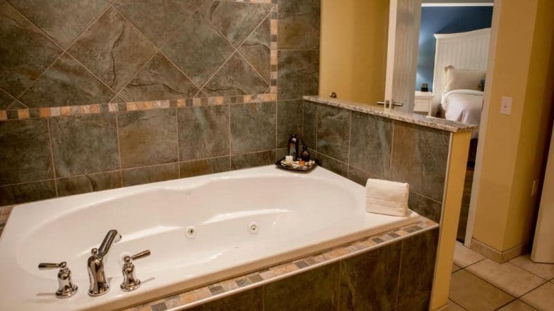 Watkins Glen Harbor Hotel hotel photo 3