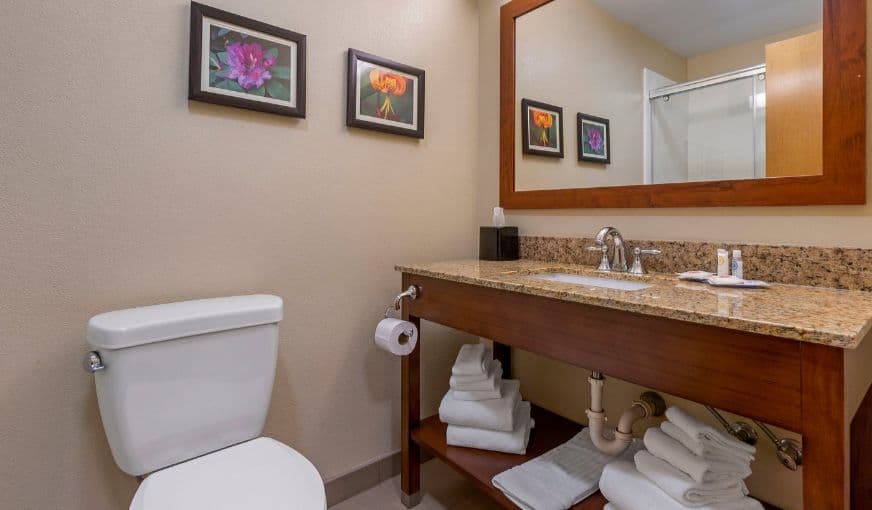 Comfort Suites Boone hotel photo 2