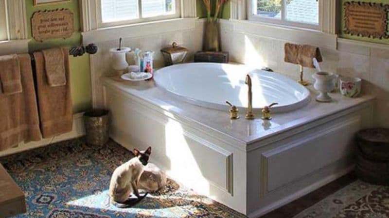 22 Charlotte Jacuzzi room