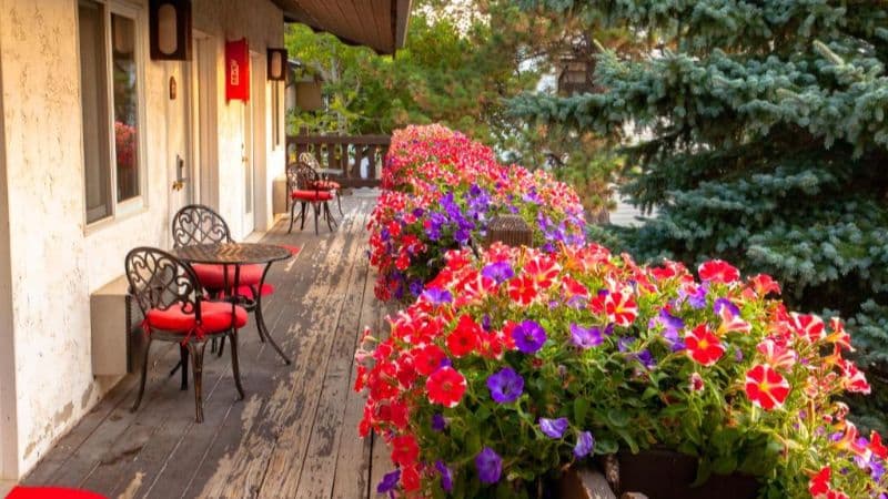 Bavarian Inn, Black Hills hotel photo 4