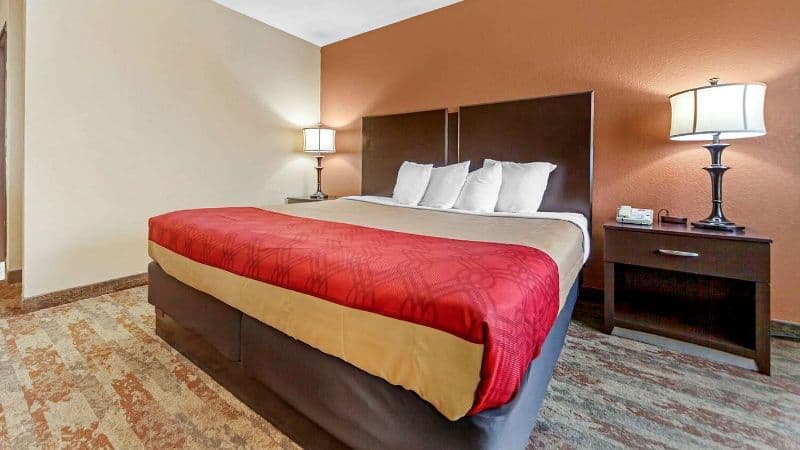 Econo Lodge Black Hills hotel photo 2