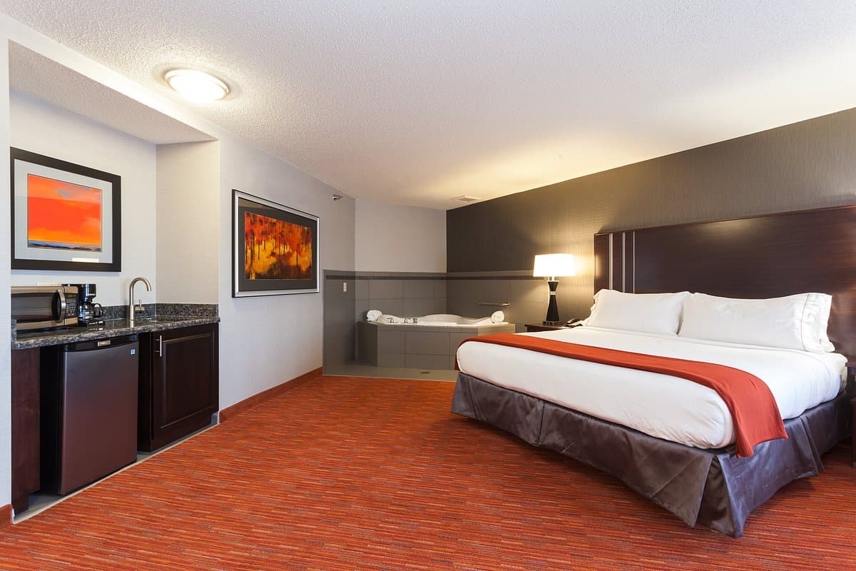 Holiday Inn Express & Suites Rapid City I-90, an IHG Hotel hotel photo 2