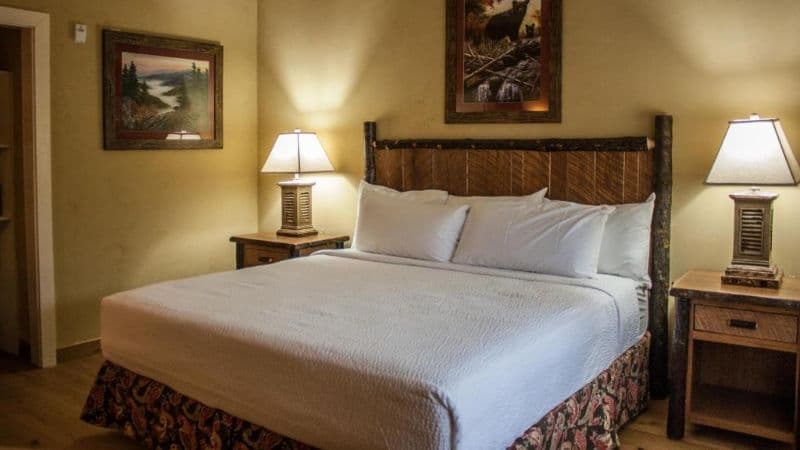 The Appy Lodge hotel photo 2