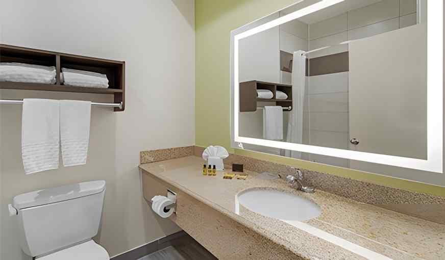 Best Western Plus North Houston Inn & Suites hotel photo 3