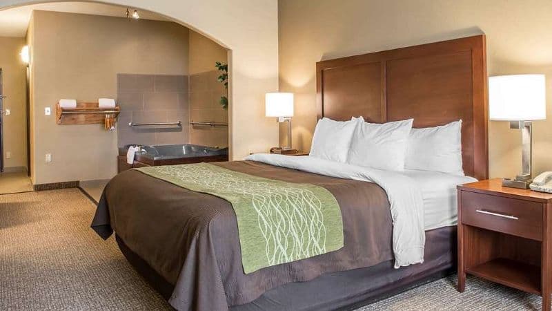 Comfort Inn Edinburg hotel photo 3