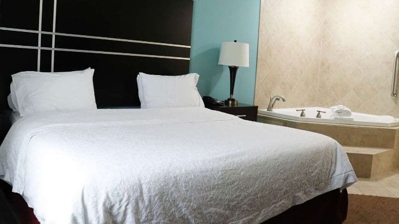 Hampton Inn Austin Oak Hill hotel photo 3
