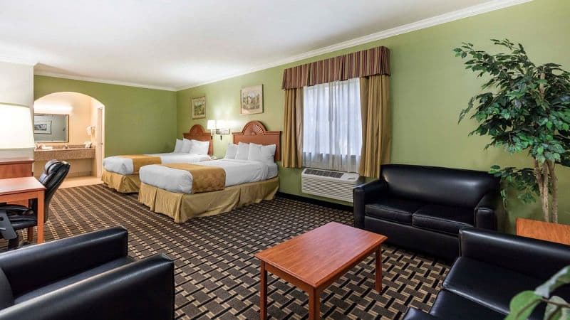 Motel 6 Tyler hotel photo 3