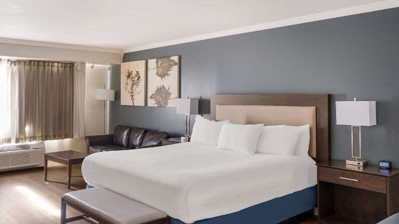Best Western Mountain View Inn hotel photo 3