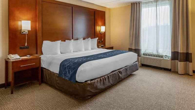 Comfort Suites Manassas Battlefield Park hotel photo 2