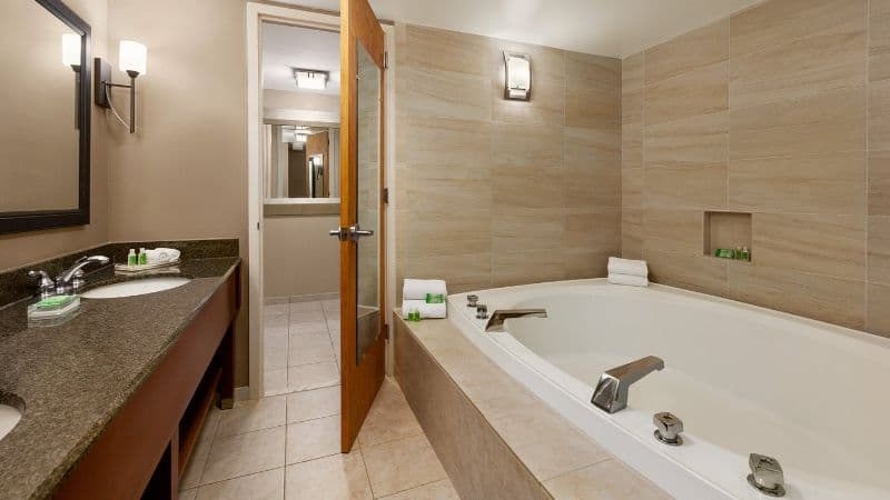Holiday Inn Washington-Dulles Intl Airport, an IHG Hotel Jacuzzi room