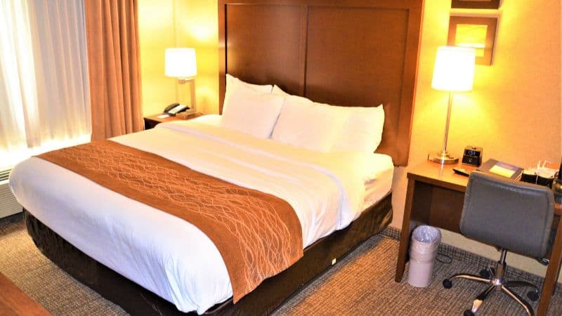 Comfort Inn & Suites Vancouver hotel photo 3