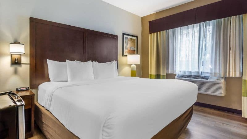 Comfort Inn Federal Way hotel photo 2