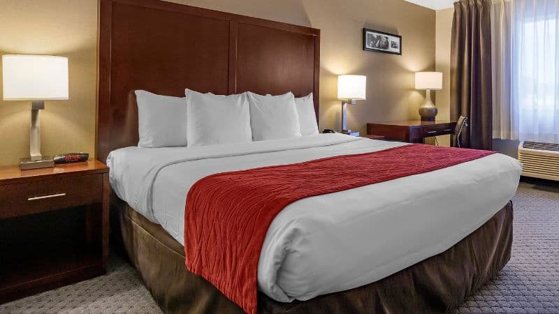 Comfort Inn Kent Seattle hotel photo 2