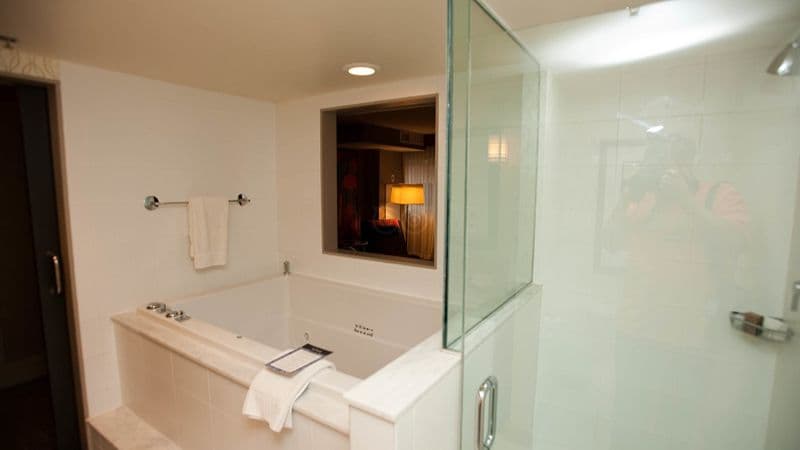 The Royal Sonesta Washington DC Dupont Circle Jacuzzi room