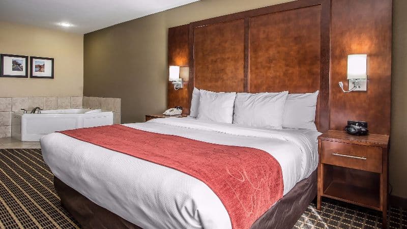 Comfort Suites Delavan – Lake Geneva Area hotel photo 3
